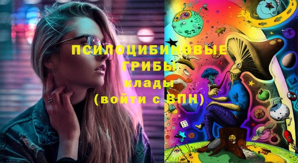 гидра Балахна