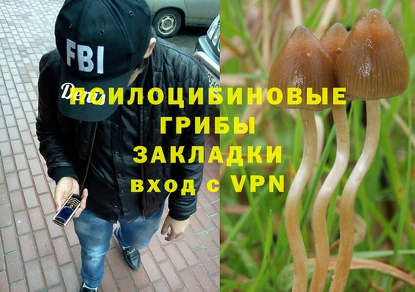 гидра Балахна
