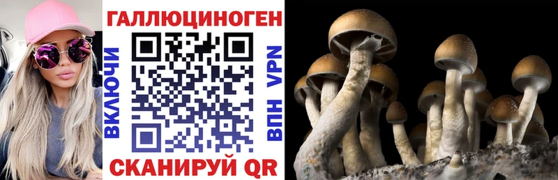 цены Корсаков Галлюциногенные грибы мицелий