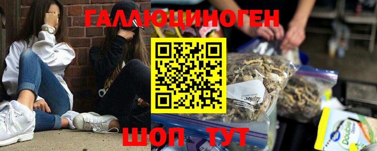 Псилоцибиновые грибы Psilocybine cubensis Корсаков